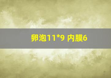 卵泡11*9 内膜6